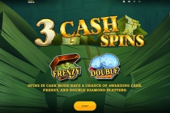 Cash-Or-Nothing-Slot-ScreenShot-2
