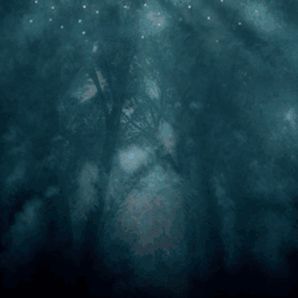 Immortal Romance Slot